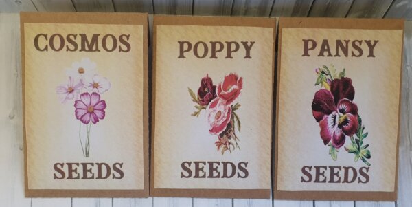 Botanical Greeting Cards with flower seeds - Image 2